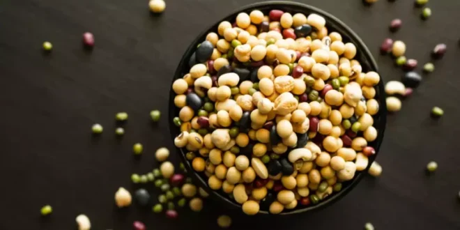 Os 15 alimentos mais ricos em ácido fólico ou vitamina B9