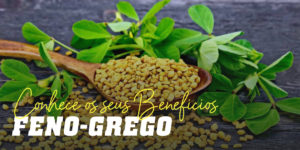 Feno-grego