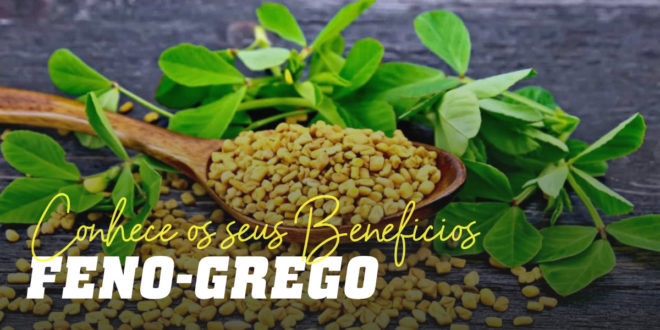 Feno-grego ou alforva -O que é, usos medicinais e benefícios para a saúde