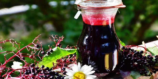 geleia real e sambucus geleia real e sambucus