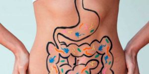 inulina saúde intestinal