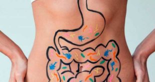 inulina saúde intestinal