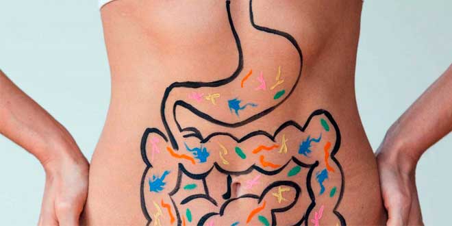 Inulina e os seus benefícios para a saúde intestinal