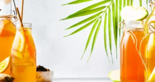 Chá kombucha: Um probiótico de exceção