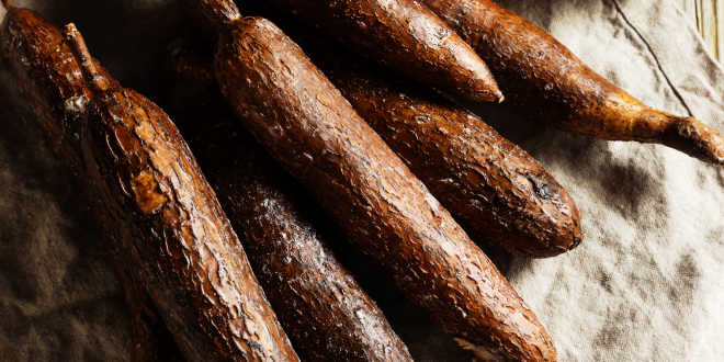 mandioca procedencia tapioca