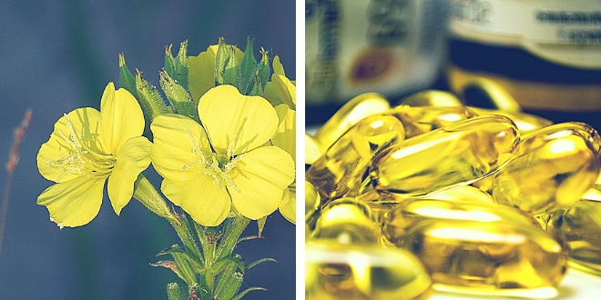 oleo de onagra isoflavonas de soja