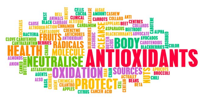 antioxidantes saude