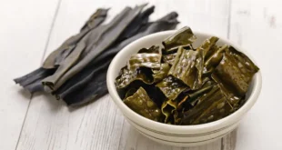 10 benefícios e propriedades da alga Kelp para a saúde