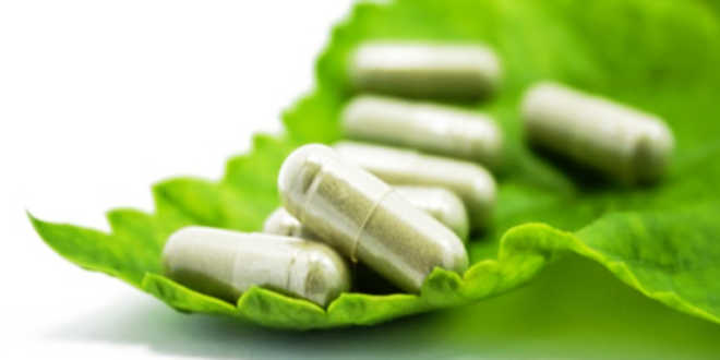 capsulas veganas vegetarianas