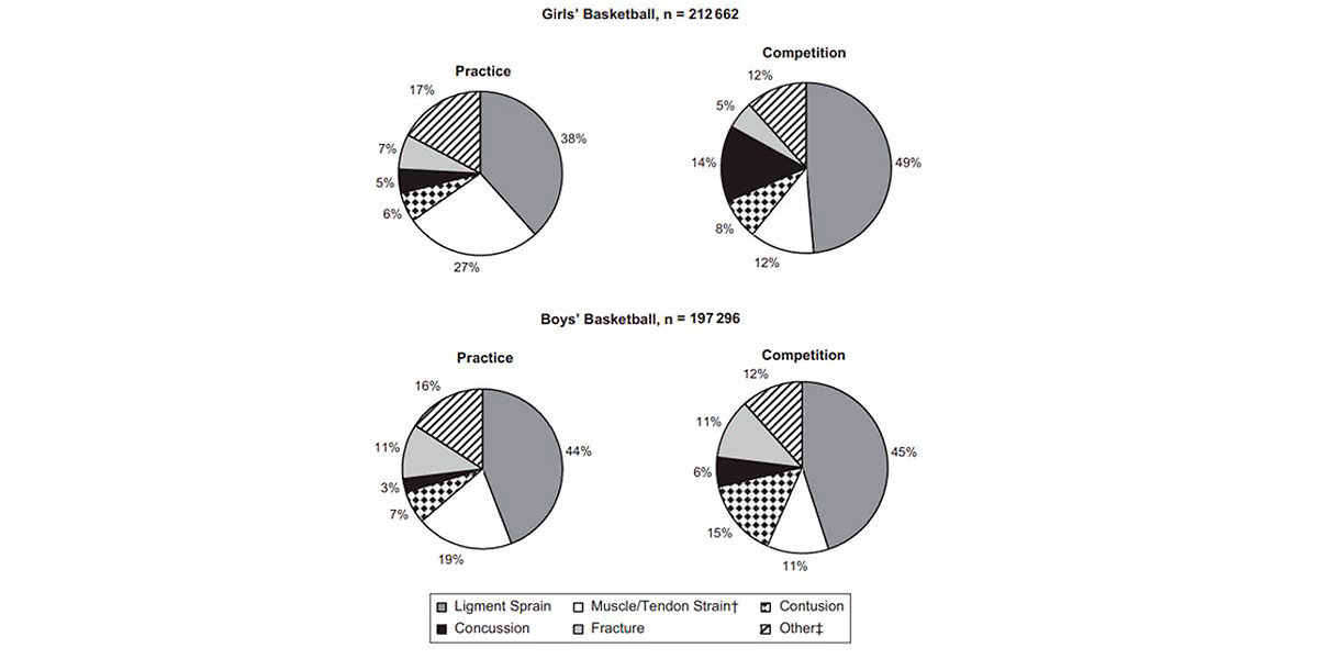 grafico circular