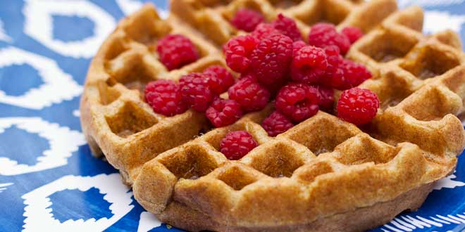 Waffles Proteico