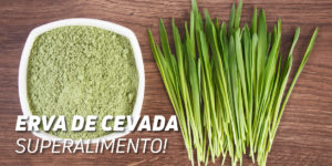 Erva Cevada