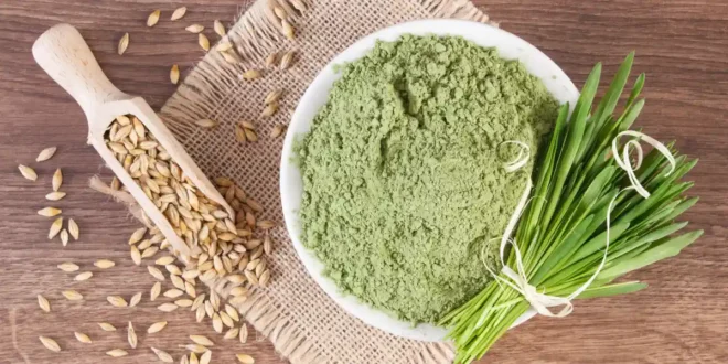 Erva de Cevada: Benefícios e Propriedades deste Superalimento Erva de Cevada: Benefícios e Propriedades deste Superalimento