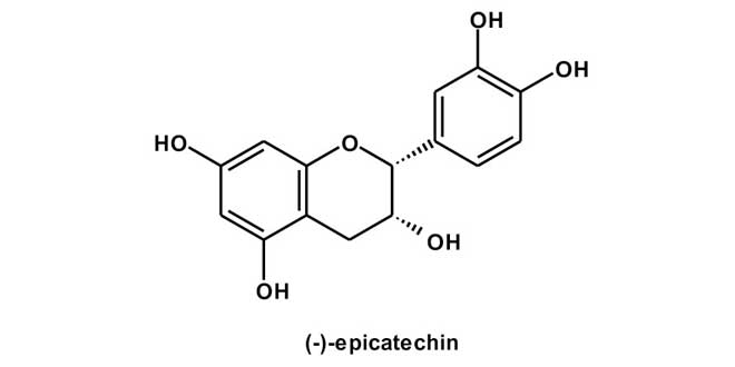 estrutura molecular epicatequina estrutura molecular epicatequina