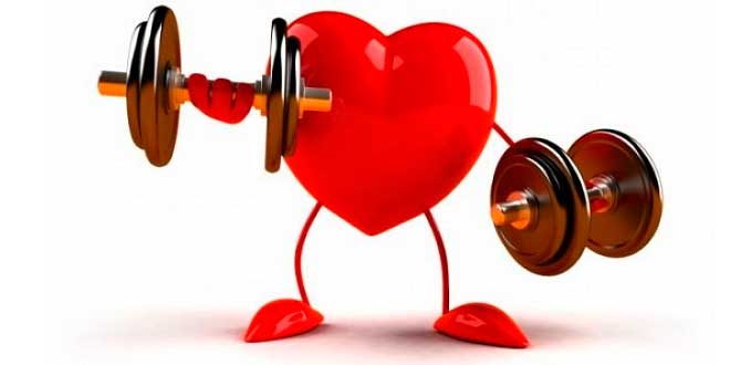 saúde cardiovascular saude cardiovascular
