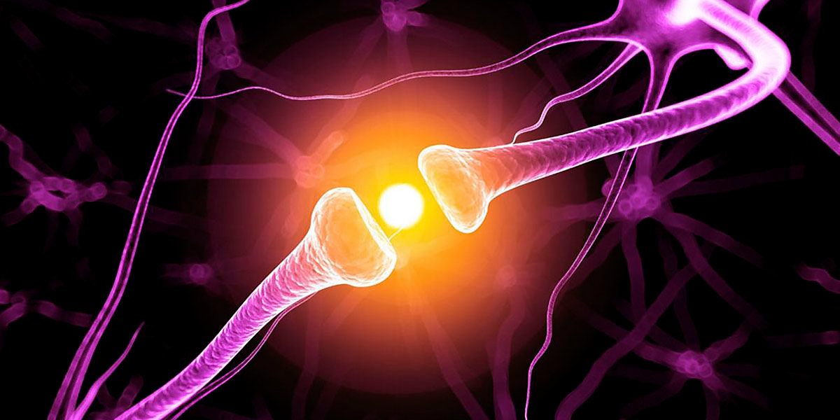 comunicação nueronas