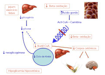 figura 2 sais cetonas