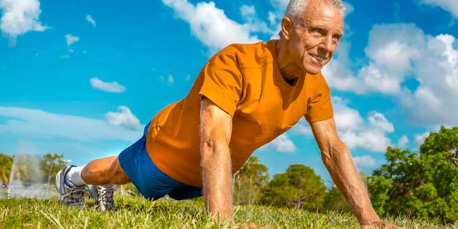 importancia colagenio