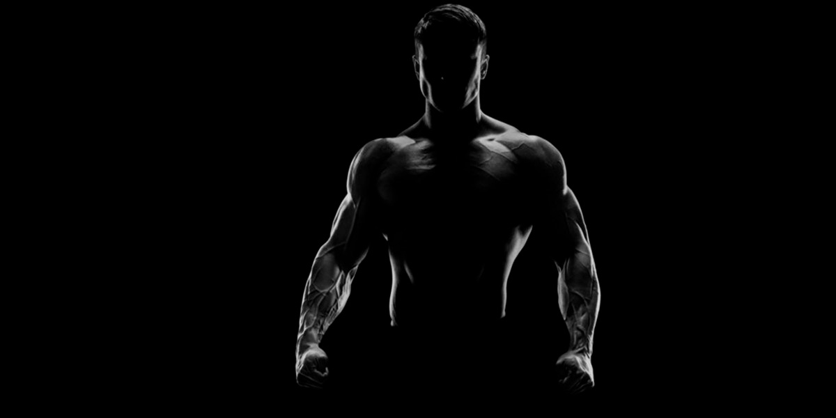 ganhar massa muscular