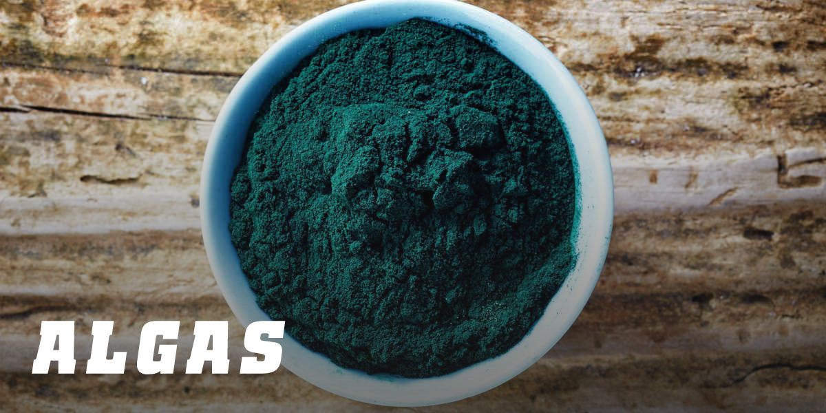 Algas