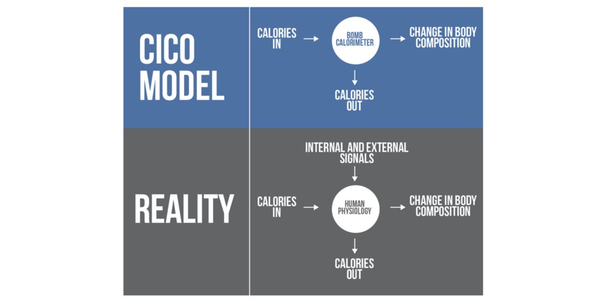 cico contextos diferentes