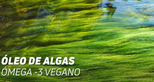 Ómega 3 vegano: Óleo algas veganos