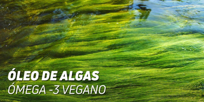 Ácidos gordos ómega 3 para veganos: alimentos e suplementos