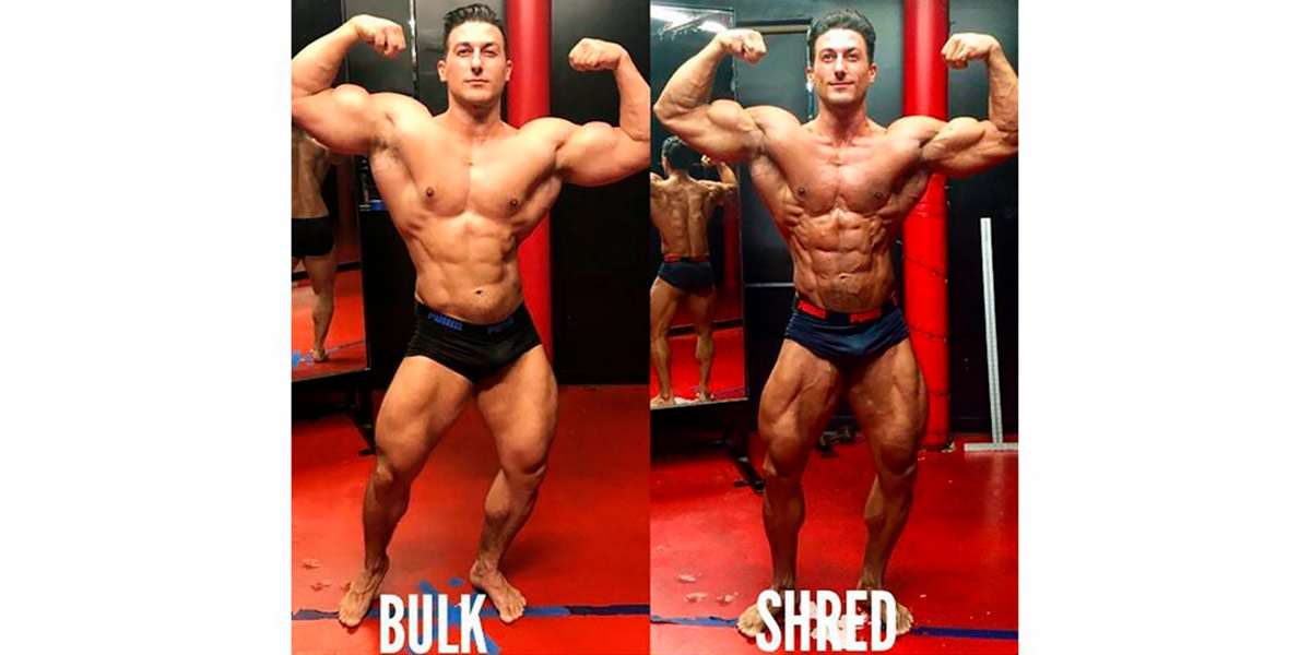 Sadik Hadzovic Sadik Hadzovic