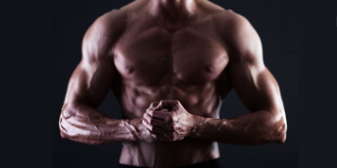 Ácido Araquidónico – Mais Massa Muscular e Força?