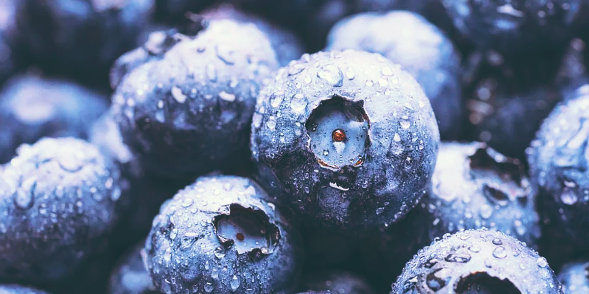 Antioxidantes Antioxidantes