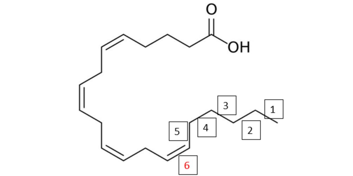 Estrutura molecular