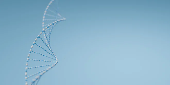 O que é a síntese de proteínas e quais são as suas etapas O que é a síntese de proteínas e quais são as suas etapas