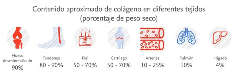 Quantidade colagenio