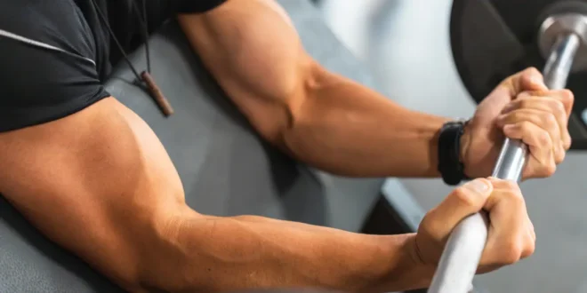 Os Melhores Exercícios para Antebraços Os Melhores Exercícios para Antebraços