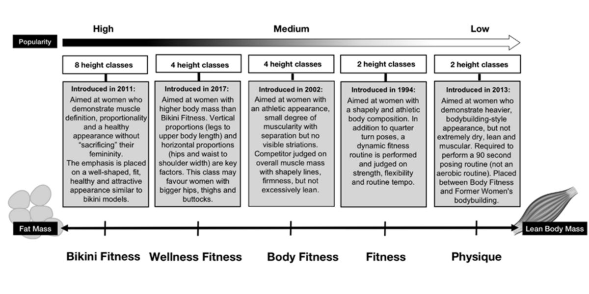 Categorias fitness Categorias fitness