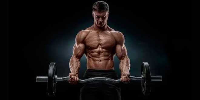 Construir massa muscular Construir massa muscular