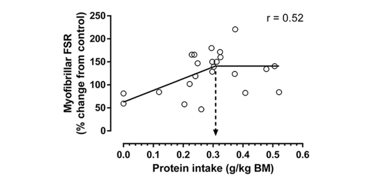 Consumo proteinas