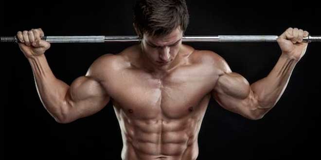 Estimulo muscular Estimulo muscular