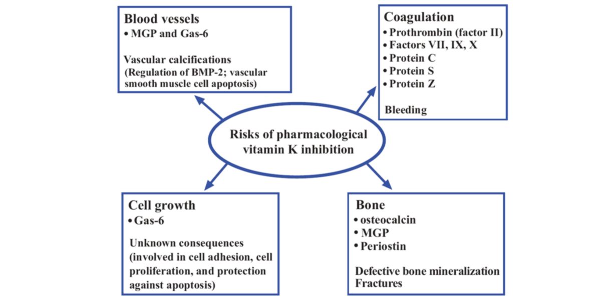Inibição da vitamina K