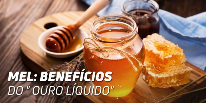 Mel: Benefícios do Ouro Doce