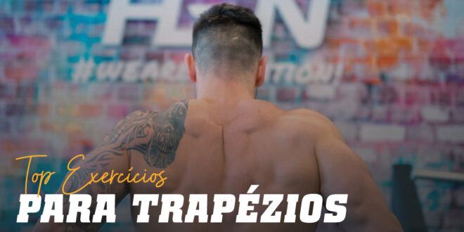 Exercícios de topo para trapézios de maior dimensão