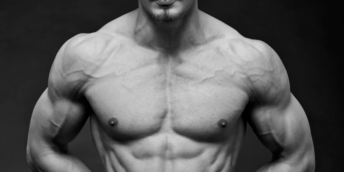 Vascularidade Vascularidade