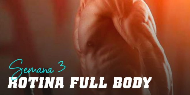 Rotina/Plano Full Body para Hipertrofia. Semana 3