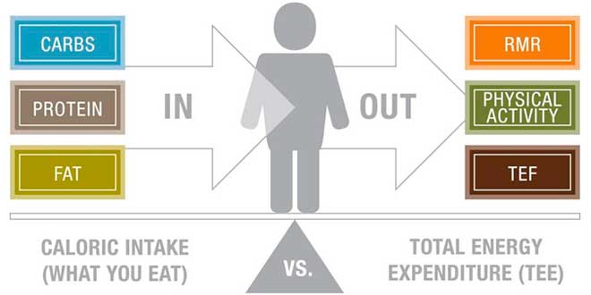 Balanço energetico Balanço energetico