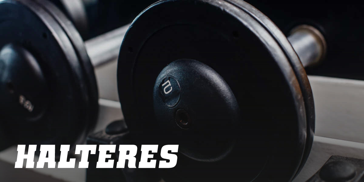 Halteres Halteres