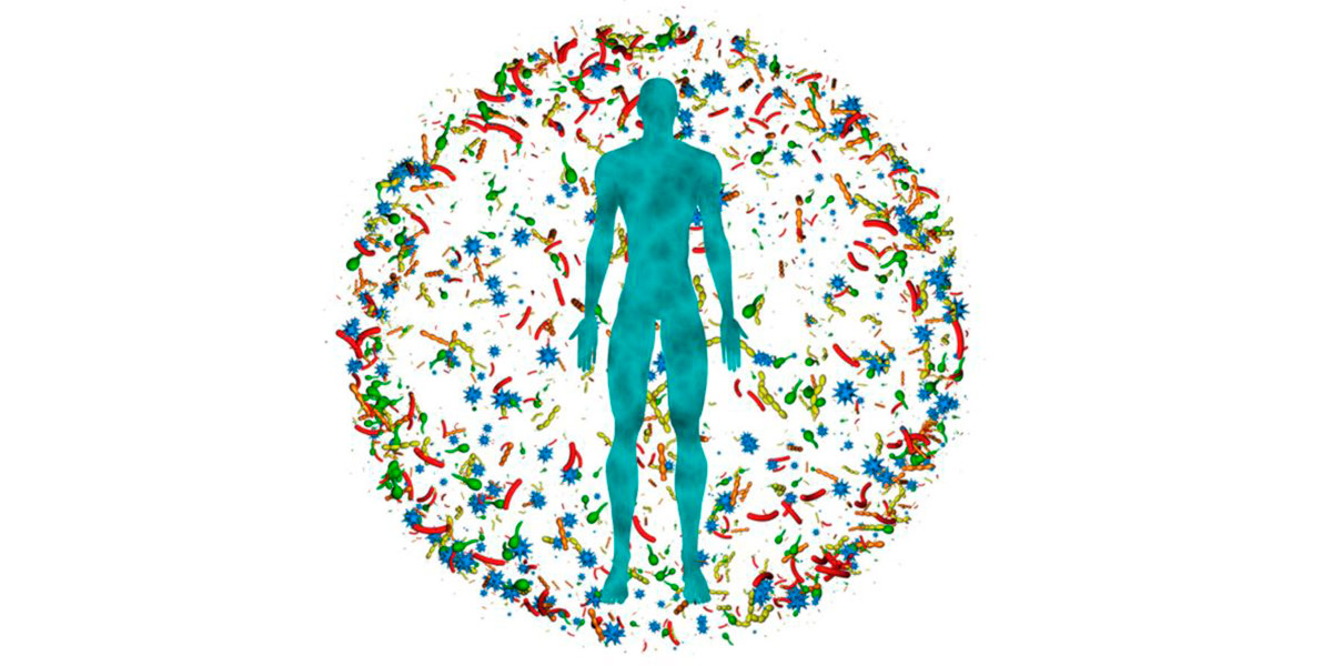 Microbiota Microbiota