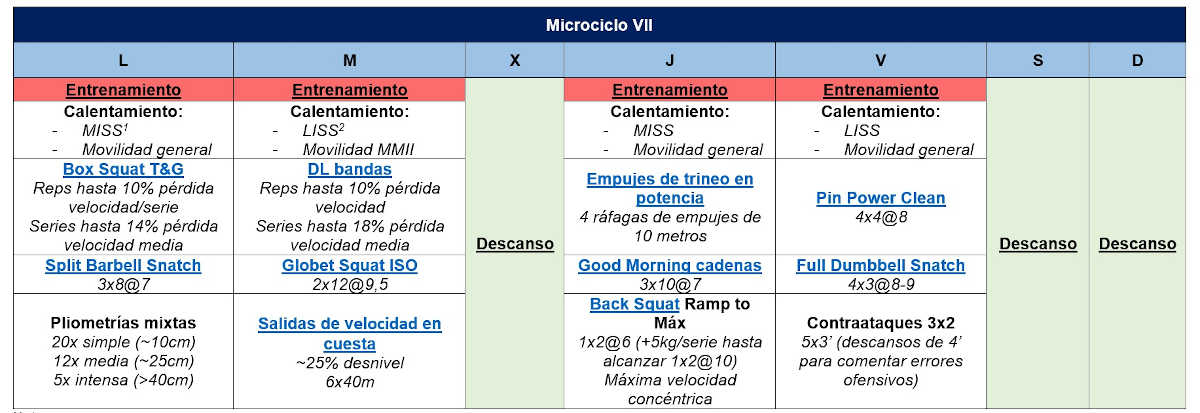 Microciclo vii Microciclo vii