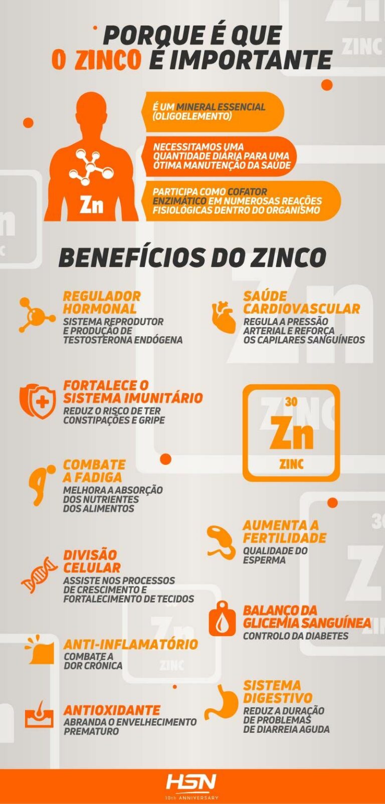 Zinco, descubre o que Fornece ao teu Organismo【2026