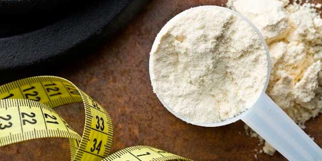 Proteina 1