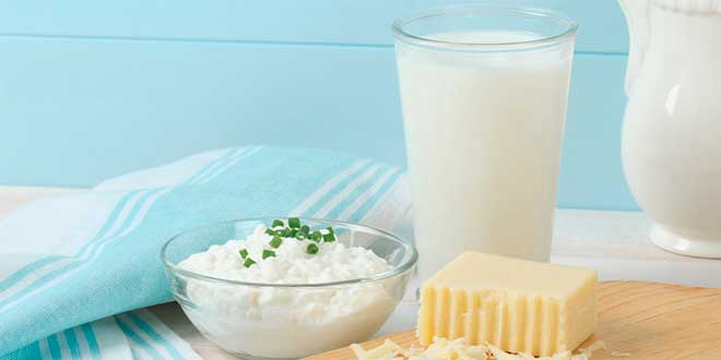 Queijo 1
